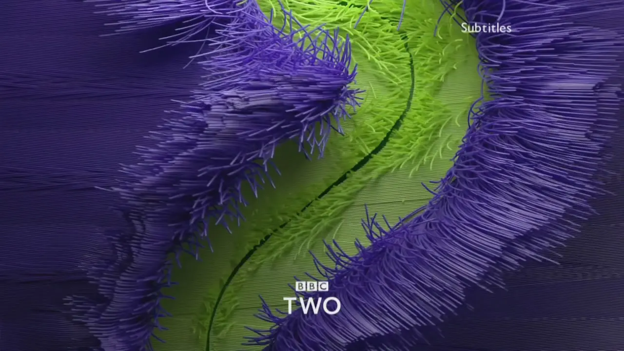 Thumbnail image for BBC Two (Coloured Threads)  - 2018