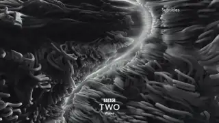 Thumbnail image for BBC Two Wales HD (Greyscale Worms)  - 2018