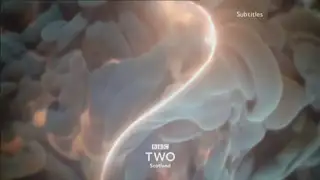 Thumbnail image for BBC Two Scotland (Smoke)  - 2018