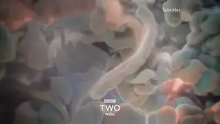 Thumbnail image for BBC Two Wales HD (Smoke)  - 2018