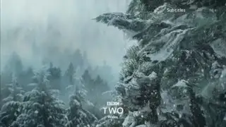 Thumbnail image for BBC Two Wales (Tree)  - Christmas 2018
