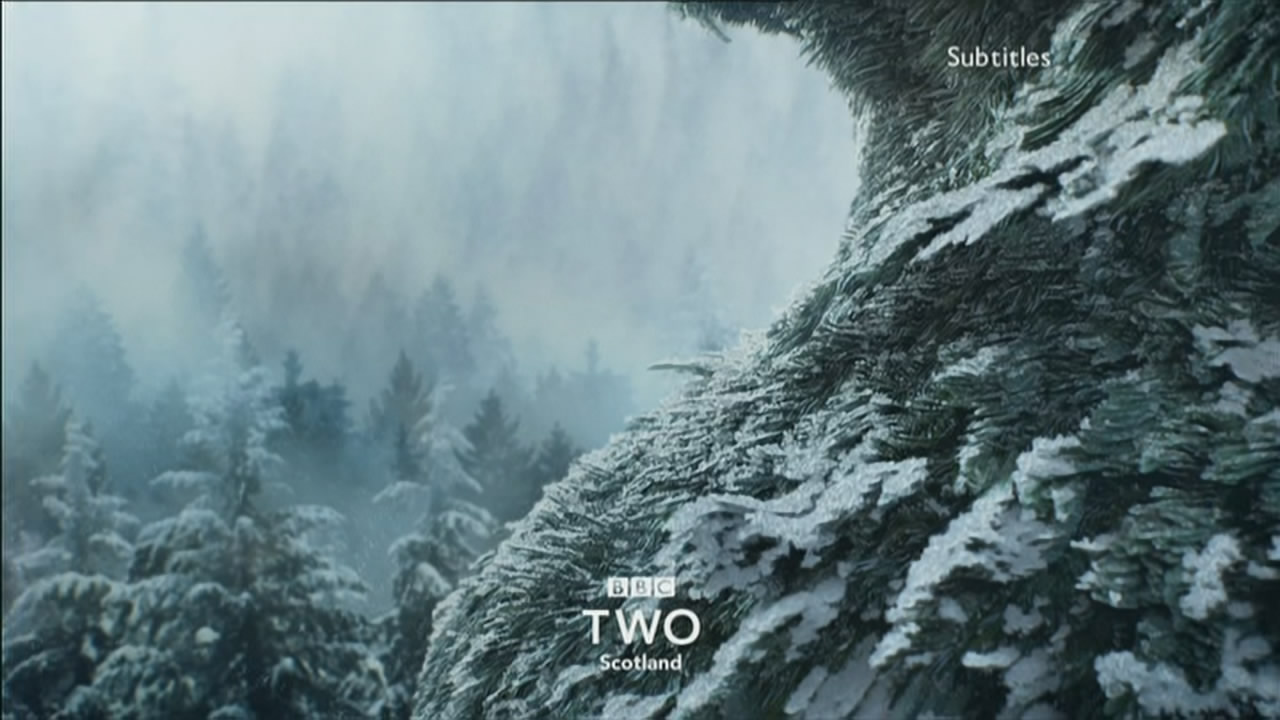 Thumbnail image for BBC Two Scotland (Tree)  - Christmas 2018