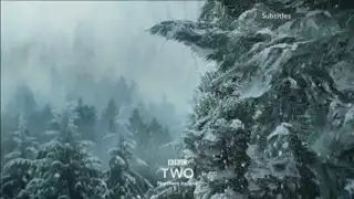 Thumbnail image for BBC Two NI (Tree)  - Christmas 2018