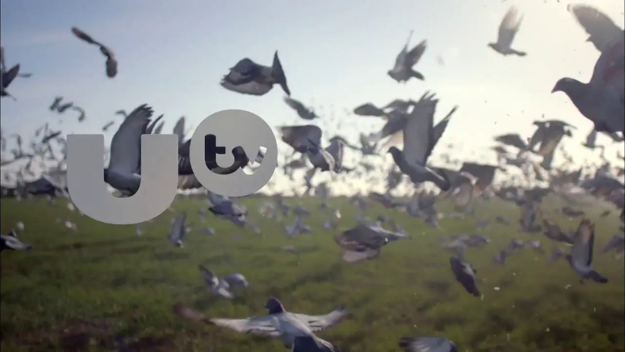 Thumbnail image for UTV (First 2019)  - 2019