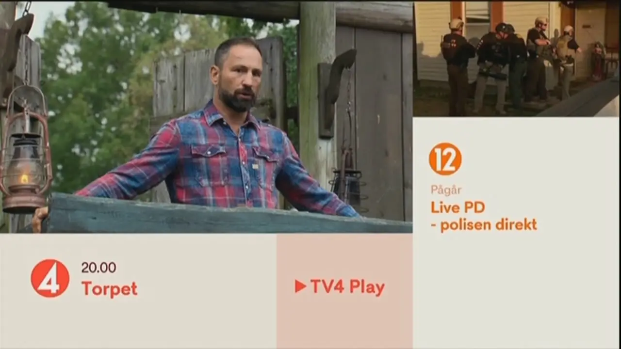 Thumbnail image for TV4 Sweden (Menu)  - 2019