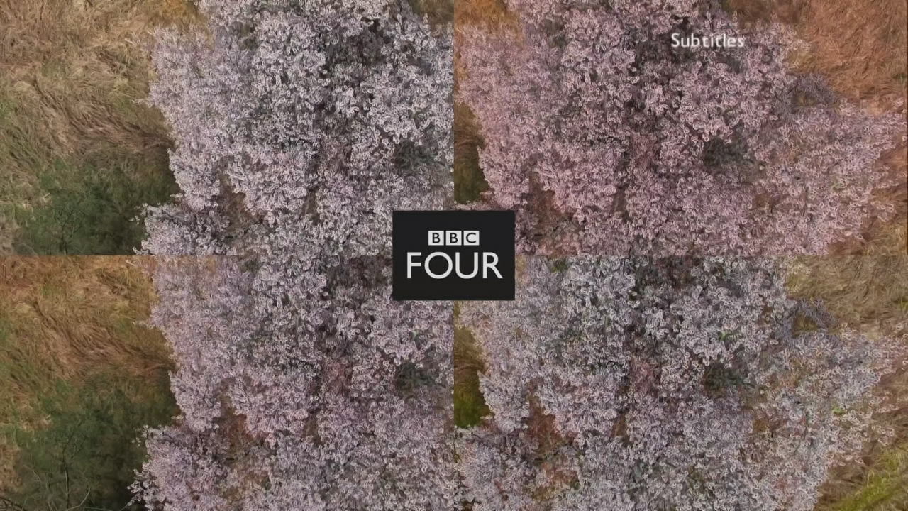 Thumbnail image for BBC Four (Blossoms)  - 2019