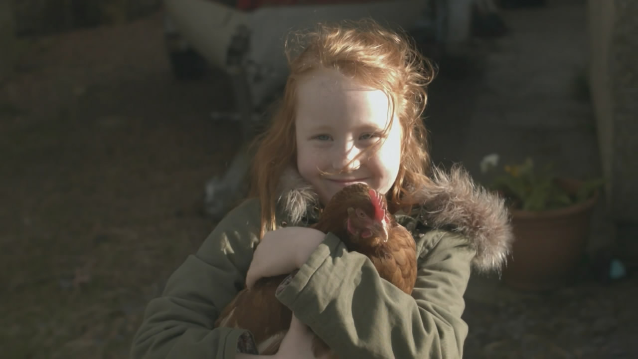 Thumbnail image for STV (Looks- Long)  - 2019