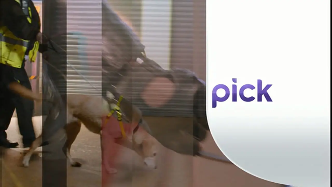 Thumbnail image for Pick (Dog Walking)  - 2014