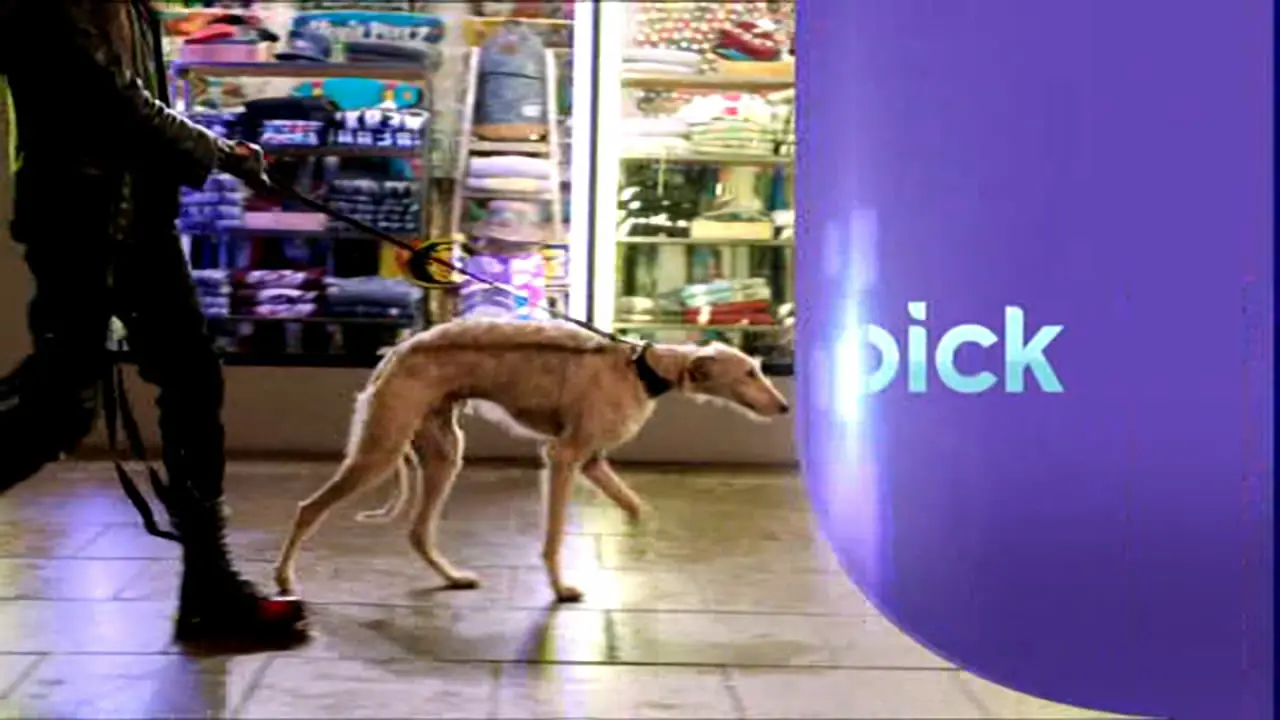 Thumbnail image for Pick (Break - Dog Walking 2)  - 2014