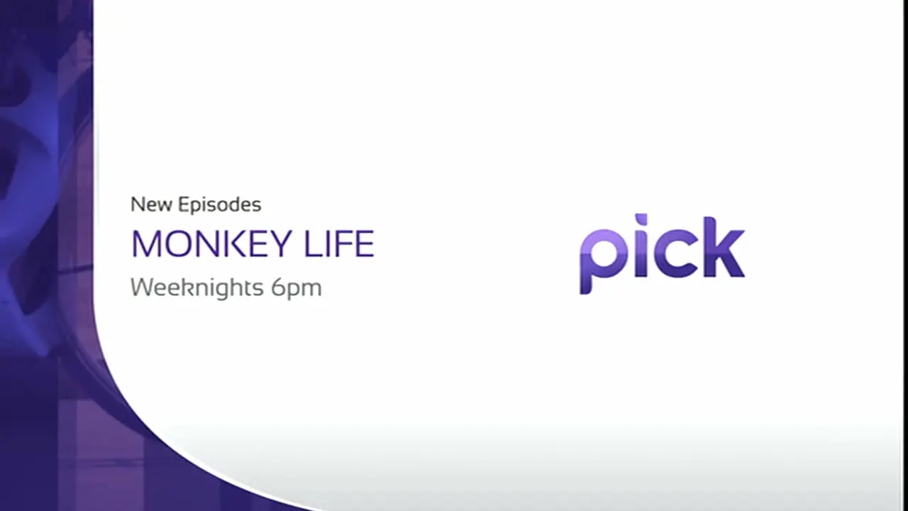 Thumbnail image for Pick (Break - Promo)  - 2014