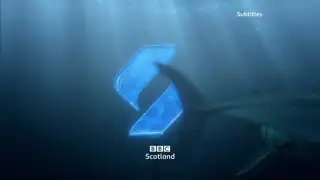 Thumbnail image for BBC Scotland (Shark)  - 2019