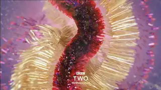 Thumbnail image for BBC Two NI (Tinsel)  - Christmas 2019