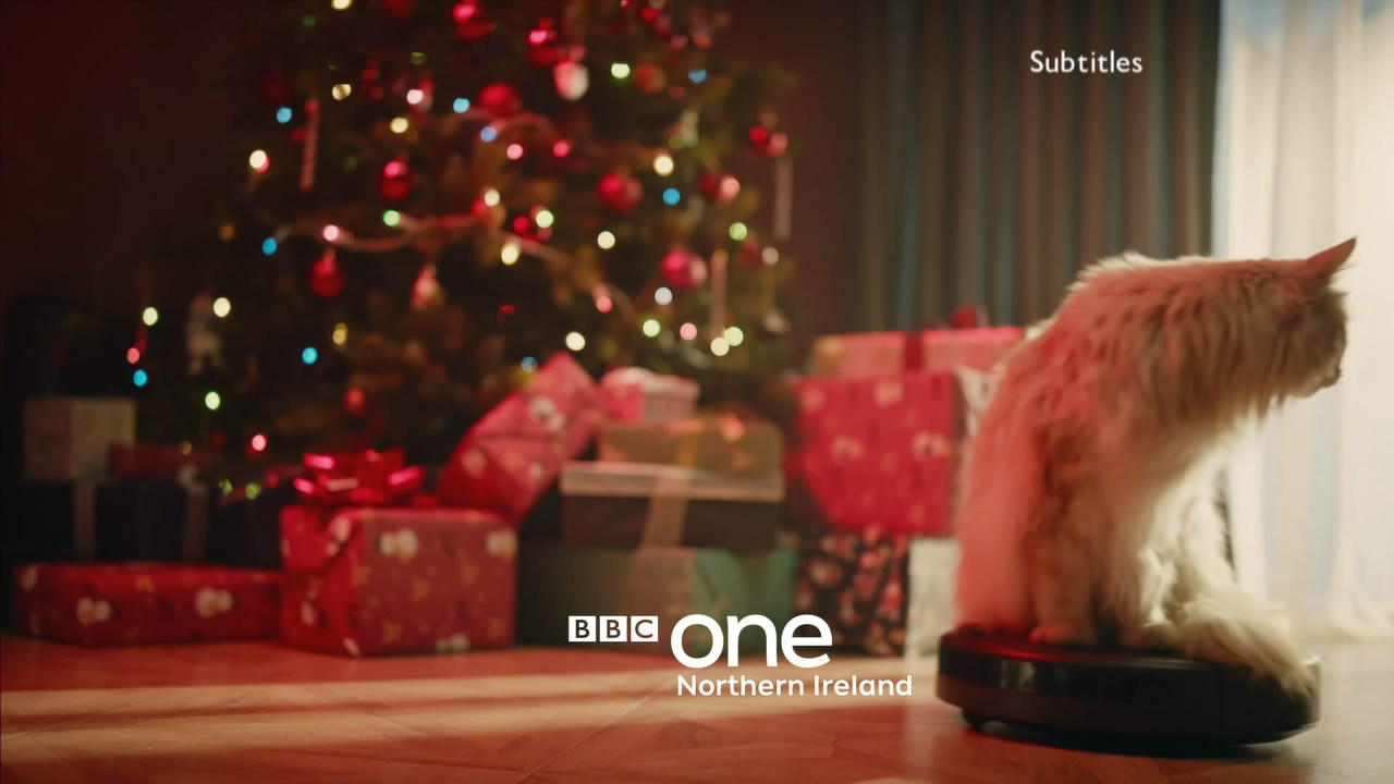 Thumbnail image for BBC One NI (Cat)  - Christmas 2019