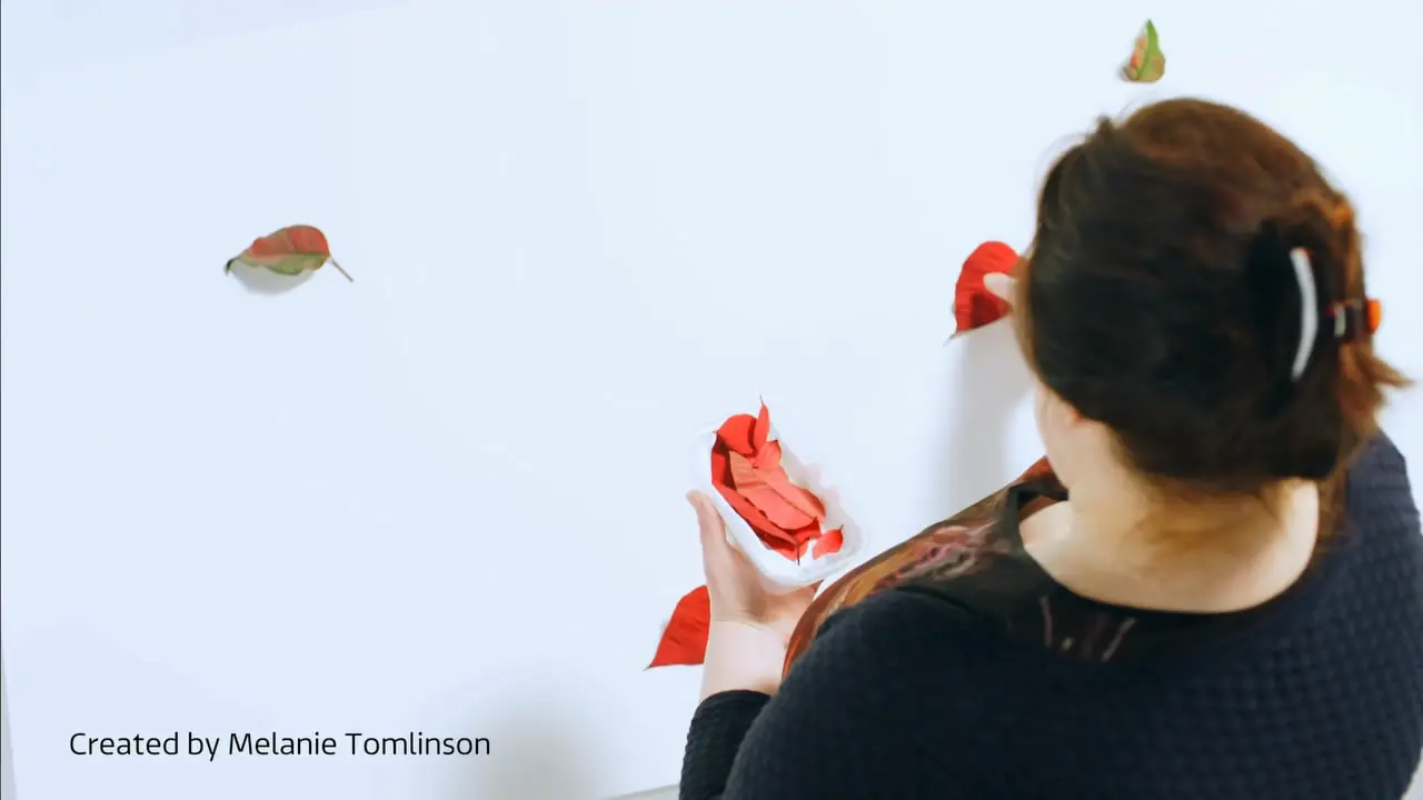 Thumbnail image for ITV (Melanie Tomlinson)  - 2019