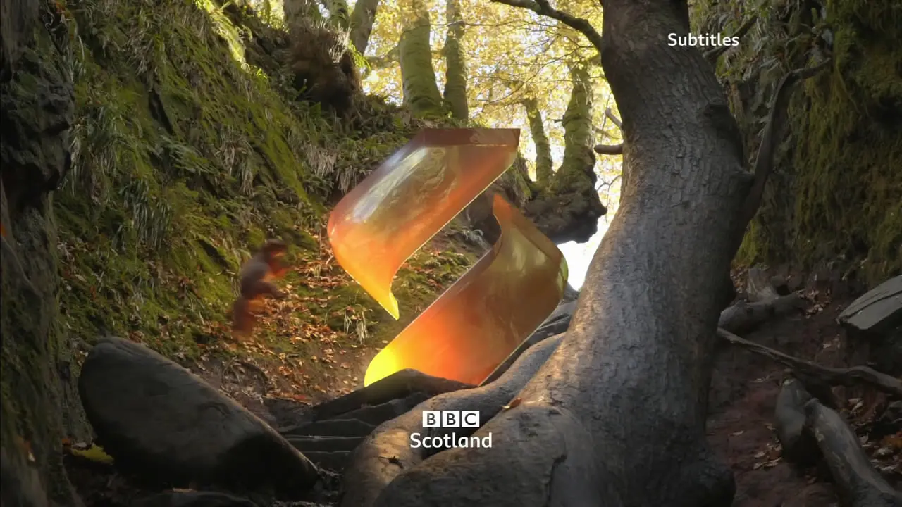 Thumbnail image for BBC Scotland (Squirrel)  - 2019