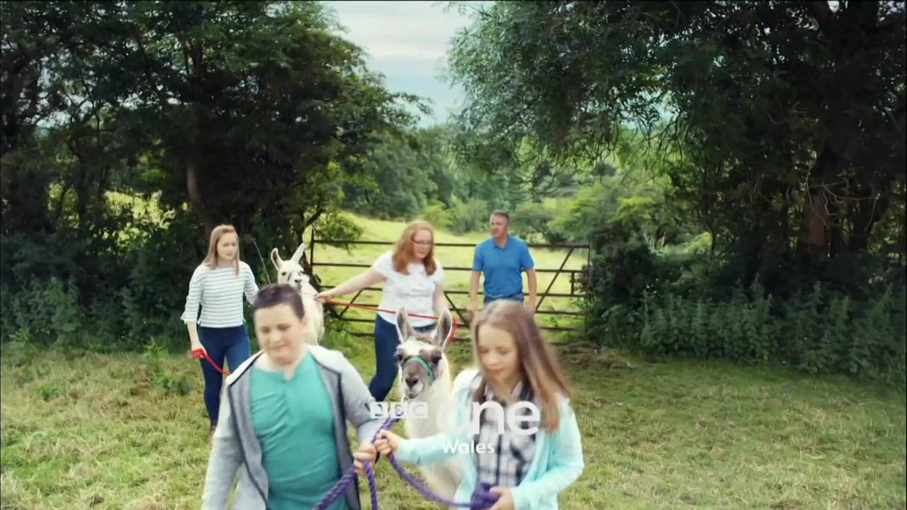 Thumbnail image for BBC One Wales (First Anno 2020)  - 2020