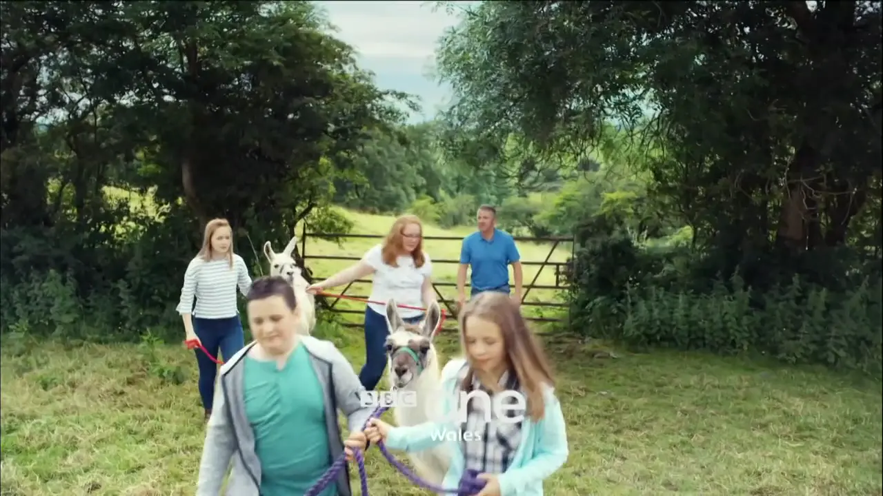 Thumbnail image for BBC One Wales (First Anno 2020)  - 2020