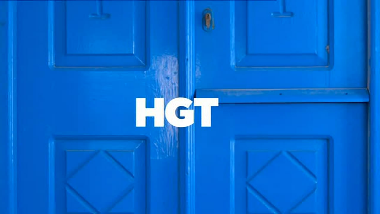 Thumbnail image for HGTV (Sting - Blue)  - 2020