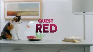 Thumbnail image for Quest Red (Cat)  - 2020