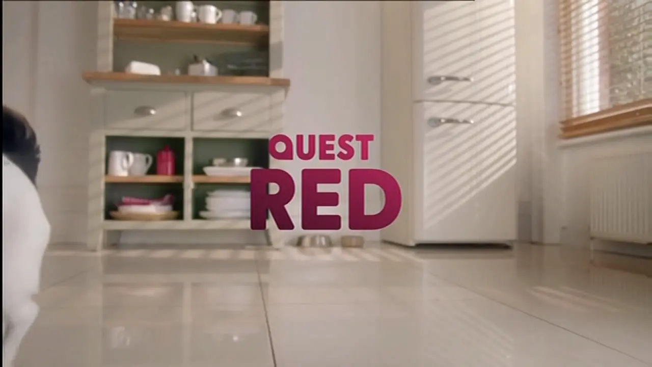 Thumbnail image for Quest Red (Dog)  - 2020