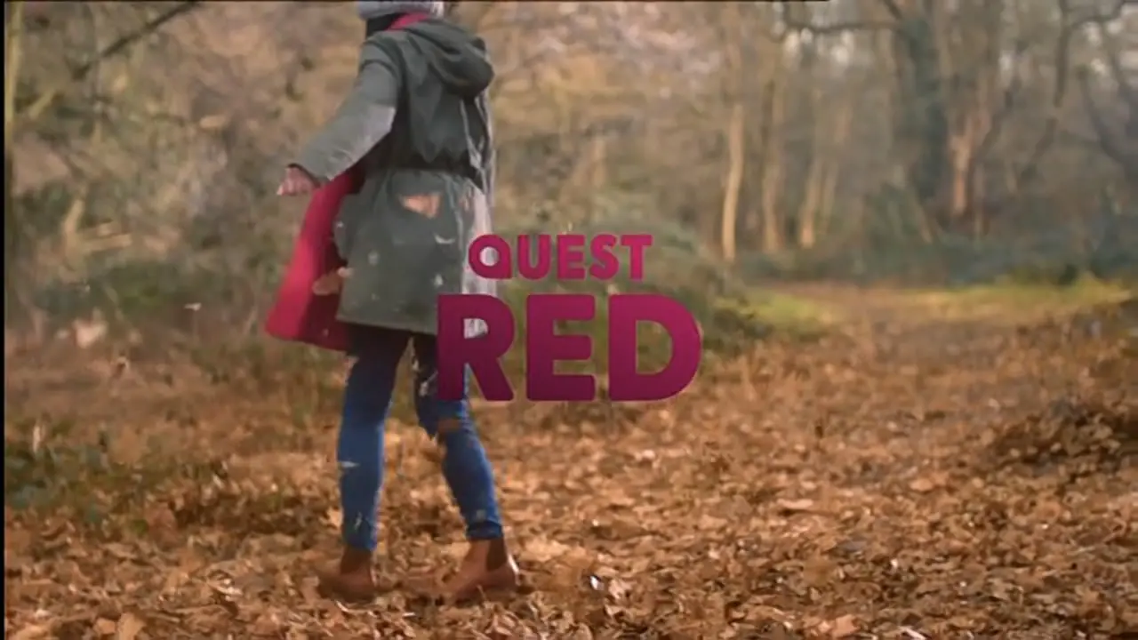 Thumbnail image for Quest Red (Leaves)  - 2020