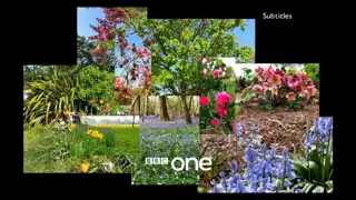 Thumbnail image for BBC One (In Bloom)  - 2020