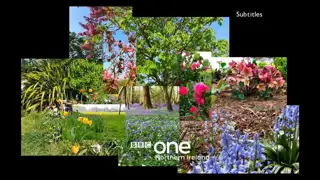 Thumbnail image for BBC One NI (In Bloom)  - 2020