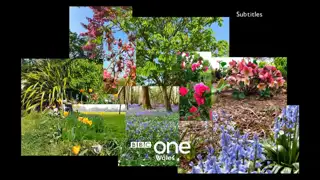 Thumbnail image for BBC One Wales (In Bloom)  - 2020