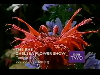 Thumbnail image for BBC Two (Promo)  - 2004