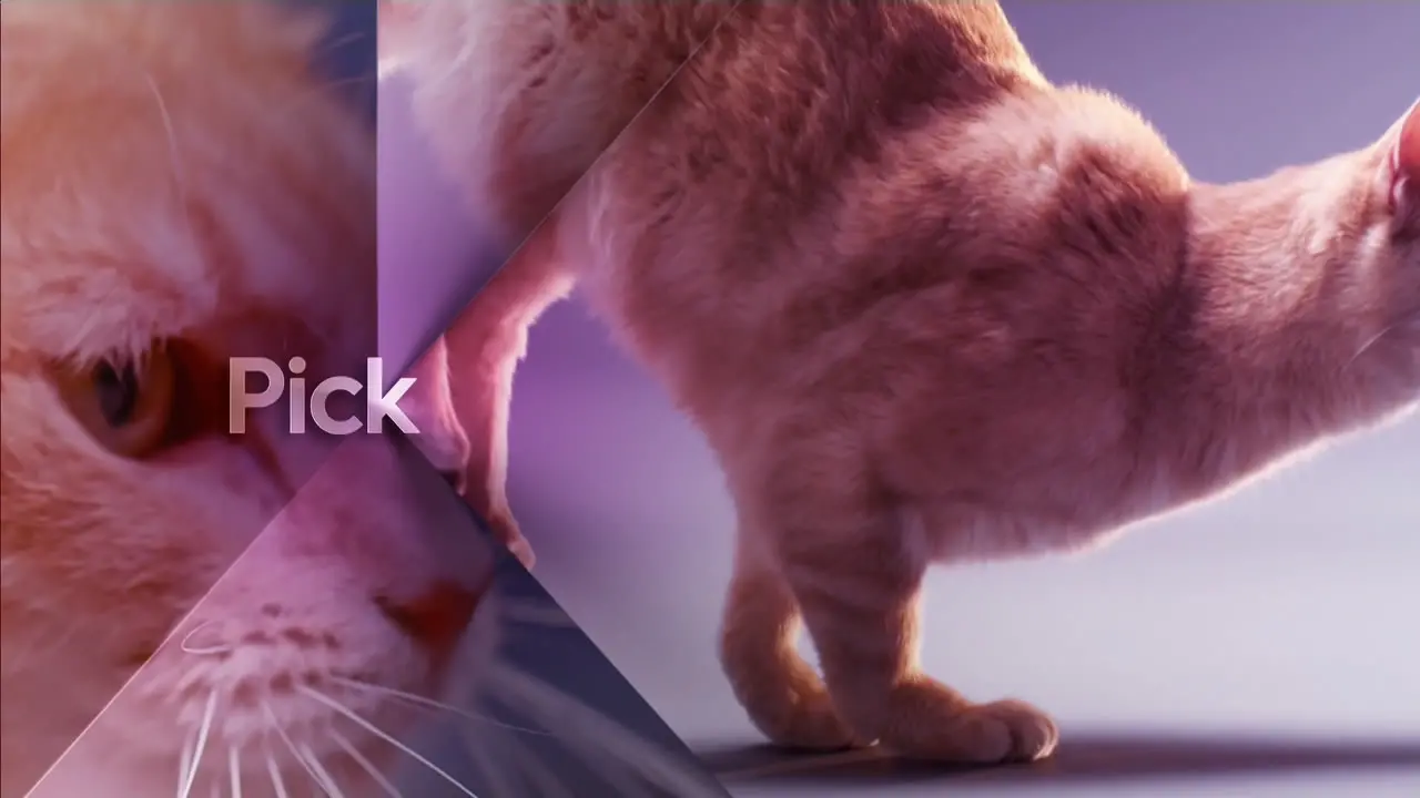 Thumbnail image for Pick HD (Cat)  - 2020