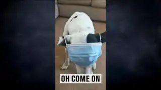 *