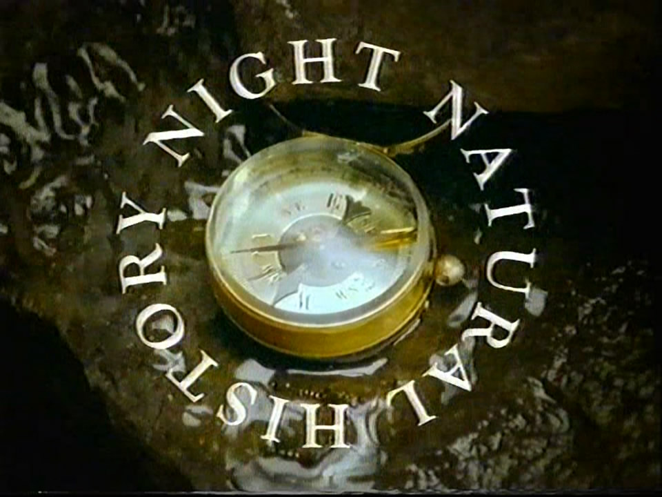 Thumbnail image for BBC Two (Natural History Night - Sting)  - 2000
