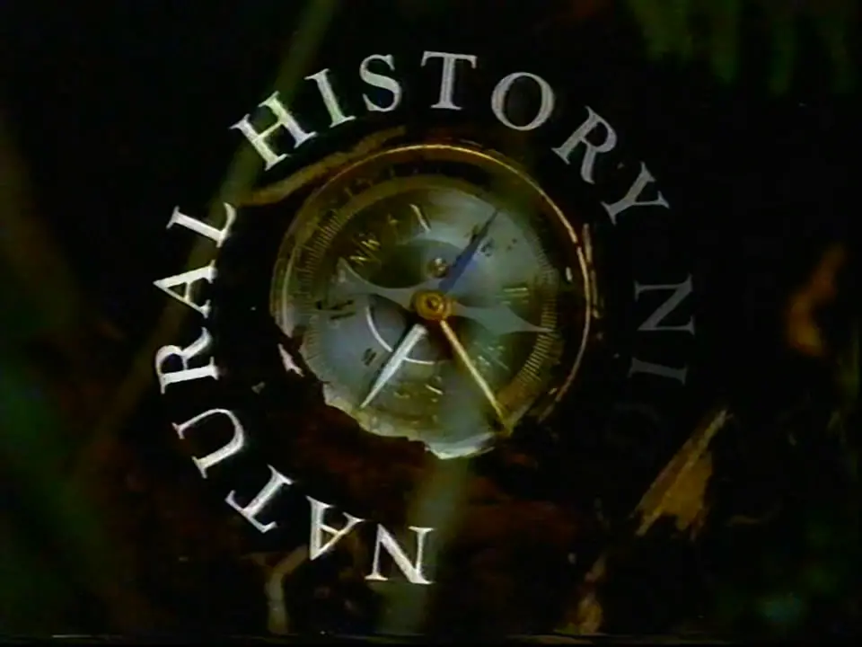 Thumbnail image for BBC Two (Natural History Night - Sting)  - 2000