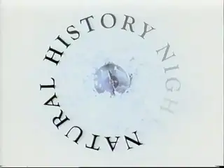 Thumbnail image for BBC Two (Natural History Night - Sting)  - 2000
