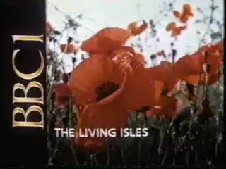 Thumbnail image for BBC1 (Slide)  - 1986