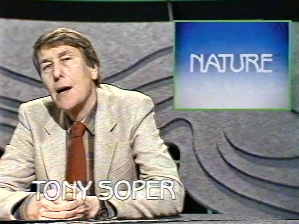 Thumbnail image for Nature  - 1986