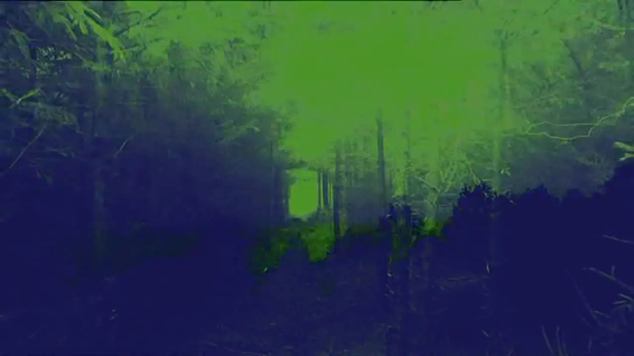 Thumbnail image for Really (Haunted)  - 2020