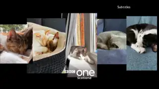 Thumbnail image for BBC One Scotland (Cat Naps)  - 2020