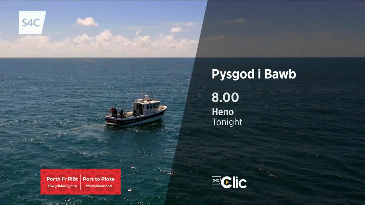 Thumbnail image for S4C (Promo)  - 2020