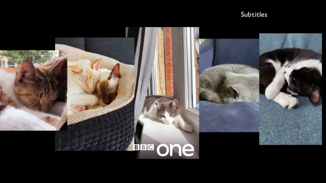 Thumbnail image for BBC One (NYD - 4am Junction)  - 2021