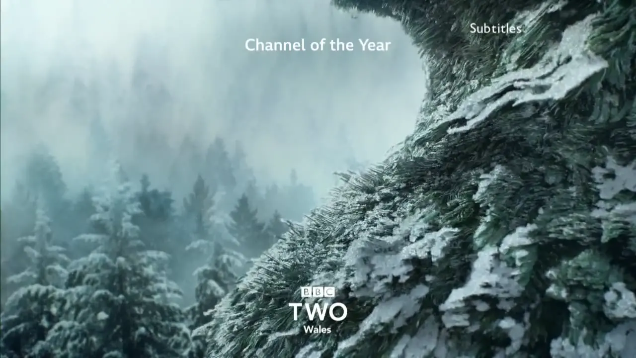 Thumbnail image for BBC Two Wales (NYE - 10pm Junction)  - 2020