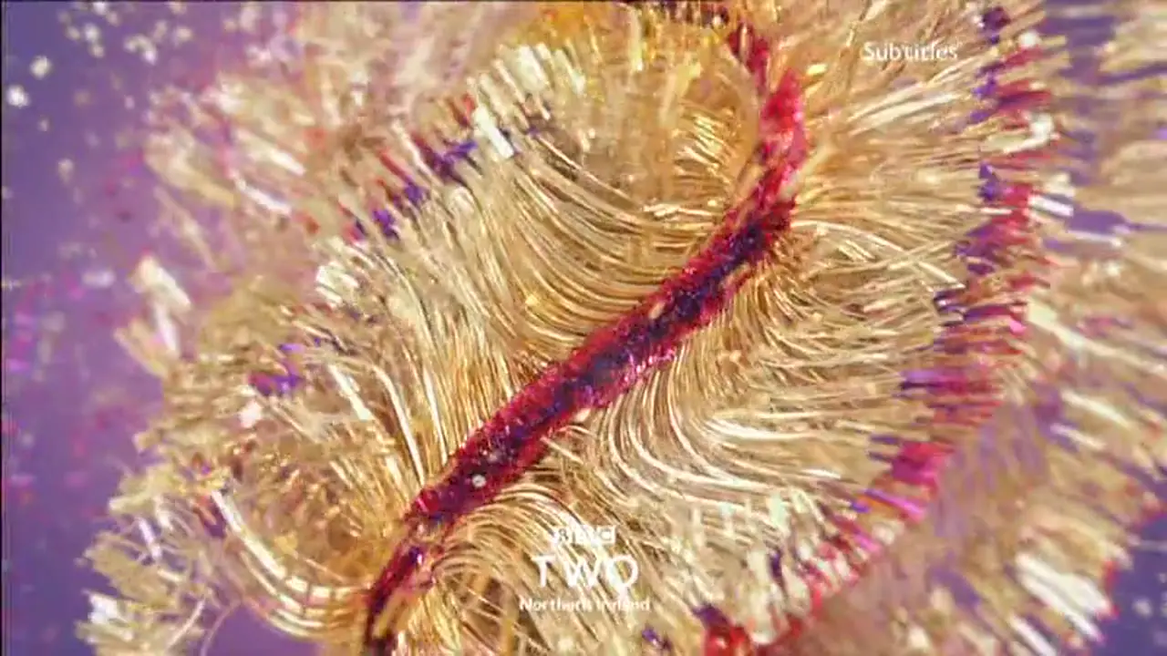 Thumbnail image for BBC Two NI (NYE - 9.15pm Junction)  - 2020