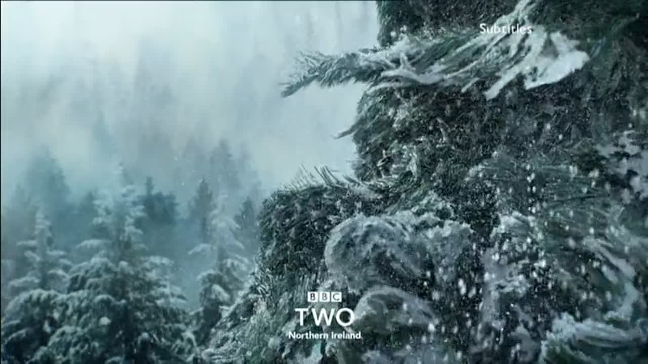 Thumbnail image for BBC Two NI (NYE - 10.15pm Junction)  - 2020