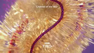Thumbnail image for BBC Two (NYE - 11.15pm Junction)  - 2020