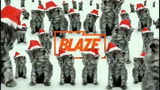 Thumbnail image for Blaze (Bumper - Cats)  - Christmas 2020