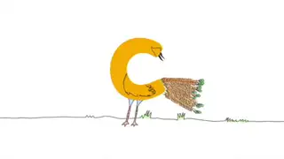 Thumbnail image for CITV (Peacock)  - 2017