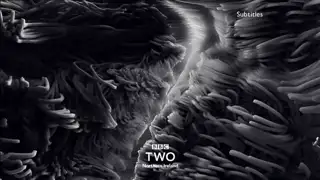 Thumbnail image for BBC Two NI (Greyscale Worms)  - 2021