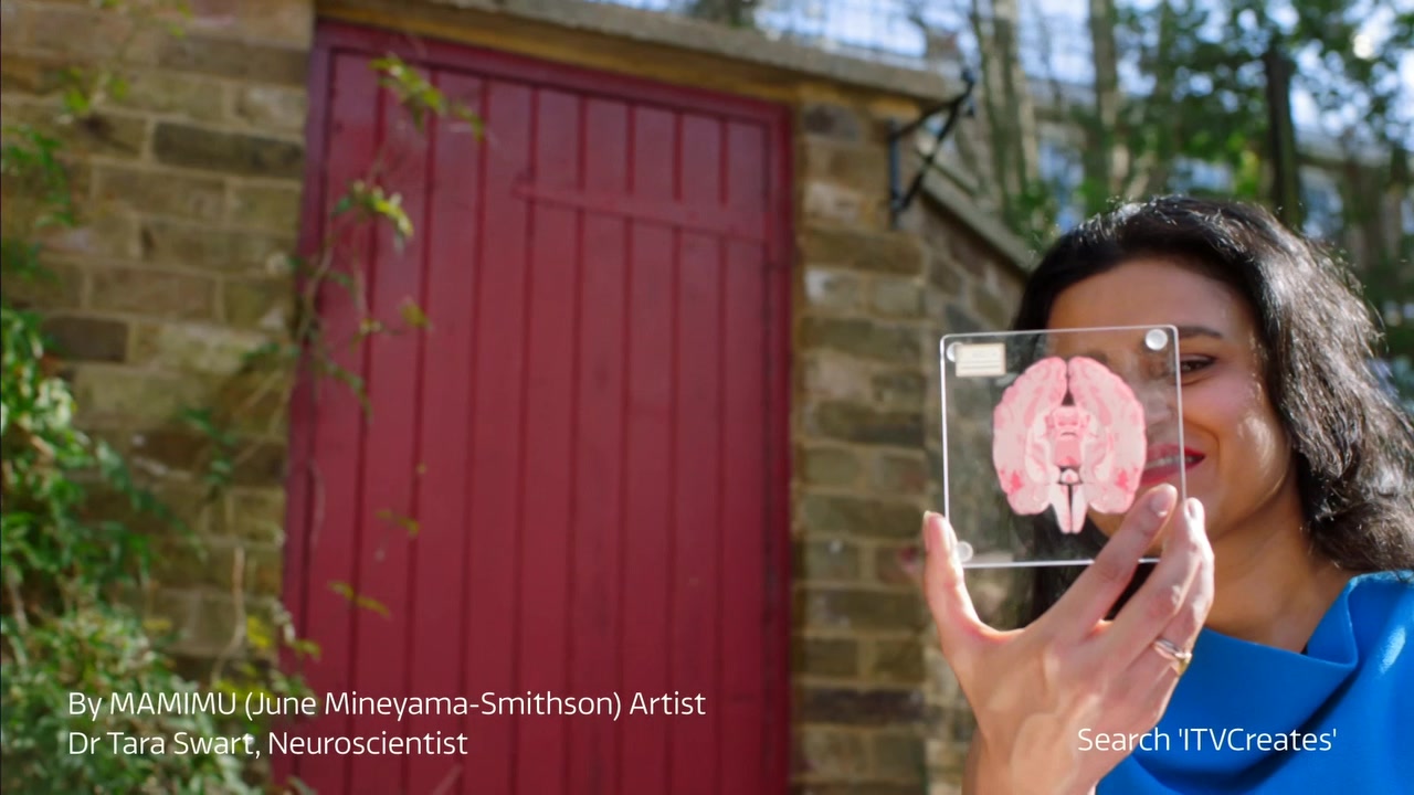 Thumbnail image for ITV (MAMIMU & Dr Tara Swart)  - 2021