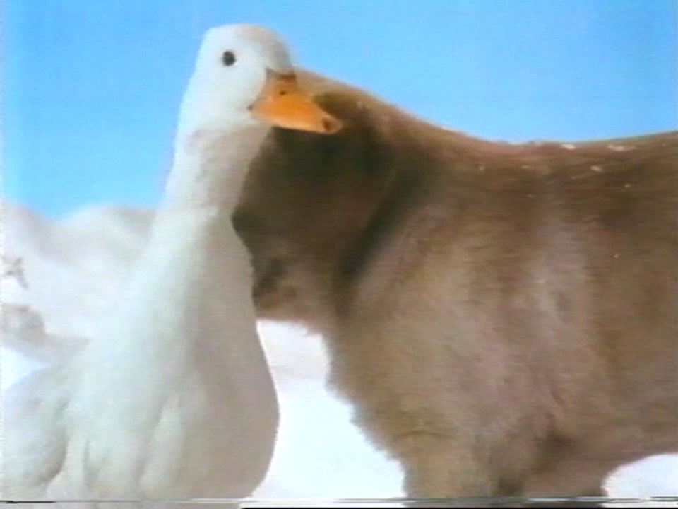 Thumbnail image for Andrex  - Christmas 1991