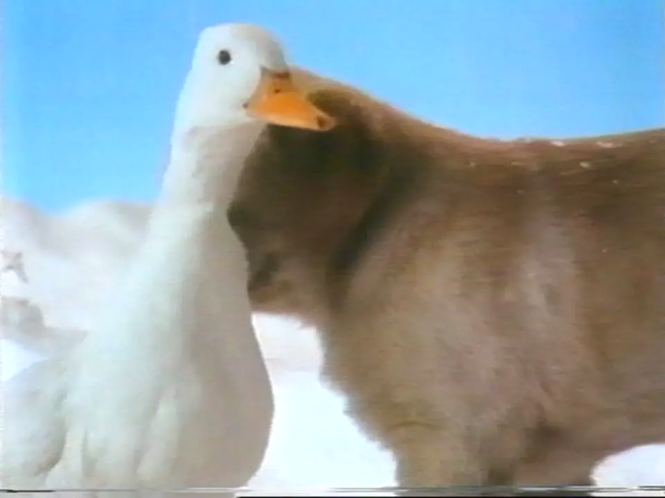Thumbnail image for Andrex  - Christmas 1991